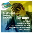 Miers Labs No Jet Lag Homeopathic Jet Lag Remedy (1 Pack, 32 Chewable