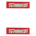 thumbnail image 1 of Transemion 28 Pcs/Ensemble Modèle de Dents en Résine Réalistes Dentiers Universels Fausses Dents Modèle de Dent Outil Éducatif d'Enseignement Tel Qu'illustré 2Ensemble, 1 of 6