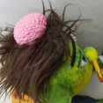 thumbnail image 3 of Funny cartoon boy hand puppet with mouth for engaging parent-child interaction, 3 of 5
