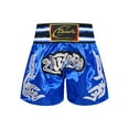 thumbnail image 6 of Sinleey Kids Boy Muay Thai Boxing Shorts Boxing Trunks Fight Training Shorts Grappling Martial Arts Blue XL/170, 6 of 8