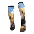 thumbnail image 2 of Bixox Clear Sky Cute Sunflower Panda Print Compression Socks,Compression Socks Women & Men Circulation for Medical,Running,Athletic, 2 of 7