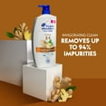 thumbnail image 2 of Head & Shoulders Ginger Paraben Free Anti-Dandruff 2in1 Shampoo + Conditioner 32.1oz, 2 of 7