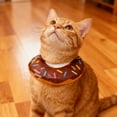 thumbnail image 3 of Adjustable Soft Donut Recovery Collar for Cats Post- Comfort E- Alternative to Licking and Biting, 3 of 3