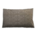 thumbnail image 1 of Ahgly Company Outdoor Rectangular Mid-Century Modern Lumbar Throw Pillow, 13 inch by 19 inch, 1 of 5