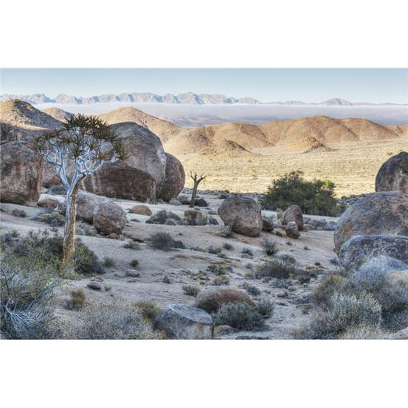 Richtersveld National Park - South Africa Poster Print - 38 x 24 in. - Large