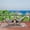Blue and white, variant on Heavy Duty Double Cotton Hammock with Steel Stand, 2 Person Brazilian-Style, 450lbs Capacity, Portable Lounger with Carry Bag for Balcony, Camping