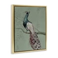 thumbnail image 3 of Stupell Industries Cottage Regal Peacock on Branch Gold Floating Frame Canvas Art, 17 x 21, by Cloverfield & Co., 3 of 8