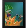 thumbnail image 2 of Fitzharris, Tim 20x24 Black Modern Framed Museum Art Print Titled - Blue Chinned Sapphire and Copper-Rumped Hummingbirds, 2 of 5