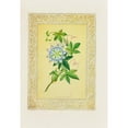 thumbnail image 3 of John H. Ingram 11x14 Black Modern Framed Museum Art Print Titled - Passion Flower (1869), 3 of 5