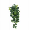 thumbnail image 1 of Planta artificial Planta de simulación de flores artificiales Hoja de camote de seis puntas Planta de ratán Decoración de pared escaparate Decoración Planta verde Colgante de pared (Verde) ILoveMilan  JM, 1 of 5