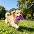 thumbnail image 4 of FTsdfkl 3.5Inch Soft Small Rubber Bone Pet Dog Puppy Cat Toys,Interactive For Cats Play Tug Chew Exercise, Colorful Dot Toy for Puppy Games, 4 of 5