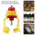 thumbnail image 3 of Detachable Chicken Feeder, Chicken Feeder Nipper, ABS For Poultry Ducks Quail, 3 of 8