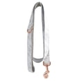 thumbnail image 1 of LED dog collar USB rechargeable light-emitting dog collar adjustable TPU pet collar,, 1 of 5