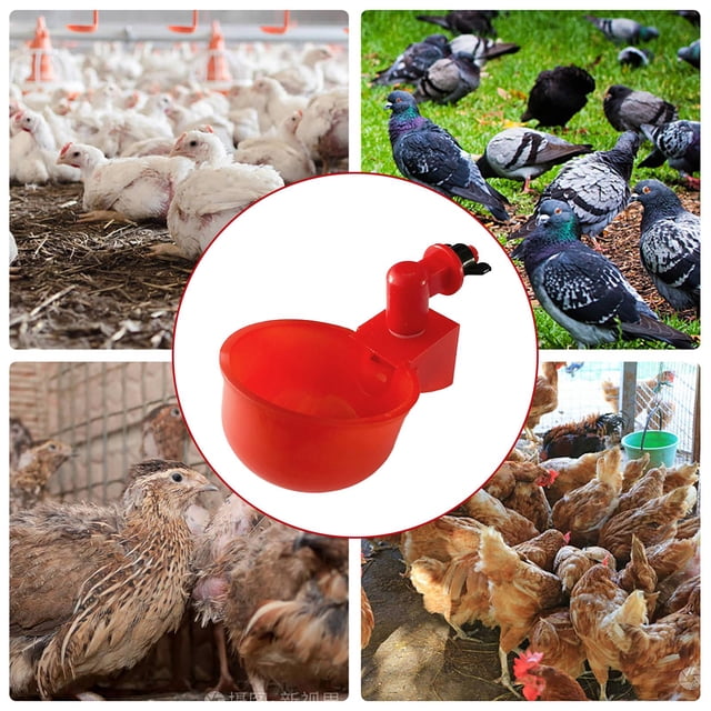 Kit de bebedero de pollo para aves de corral comedero de riego para aves de corral Kit de cuenco para beber Hugtrwg Para estrenar