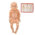 thumbnail image 2 of Babies Acupuncture Massage Model, Easy Use Professional Silicone Infant Massage Acupoint  for Nannies for Home, 2 of 7