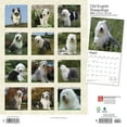 thumbnail image 2 of Old English Sheepdogs 2024 Square (Other), 2 of 8