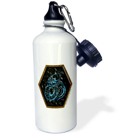 

Star Dancer Jewel Mermaid Fantasy Tribal Abstract 21 oz Sports Water Bottle wb-23189-1