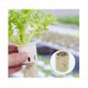 thumbnail image 5 of 20*27 (50个) Rockwool Cube Rockwool Plugs Propagación Bloque hidropónico Cilíndrico Vegetal Plántulas Invernaderos Sistema de cultivo Accesorios de jardín 50PCS TUNC Sencillez, 5 of 5