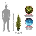 thumbnail image 2 of National Tree Company Artificial Shrub Includes Pot Base Arborvitae-48, 48-Inch, Green, 2 of 4