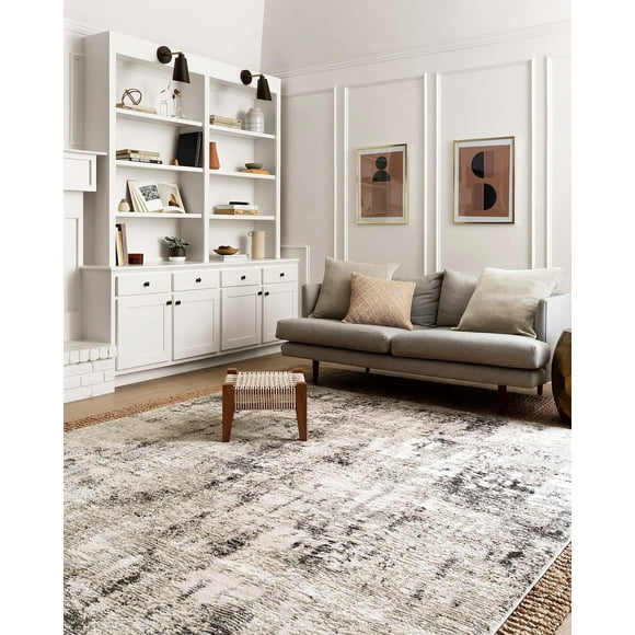 Tapis Loloi II Alchemy Collection ALC-04 Argent/graphite 3 Pieds-4 Pouces x 5 Pieds-7 Pouces
