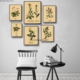 thumbnail image 3 of Póster de ilustración botánica, carteles de Papel Kraft de hojas de plantas y flores, decoración Vintage para el hogar, habitación, Bar, cafetería, arte estético, pintura de pared, 3 of 4