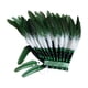 thumbnail image 1 of Tocado de plumas indio para fiesta de Halloween, juego de rol, tocado de plumas artificiales. verde, 1 of 9