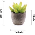 thumbnail image 4 of 6 uds de plantas suculentas Zhivalor decorativas en macetas grises, 4 of 7