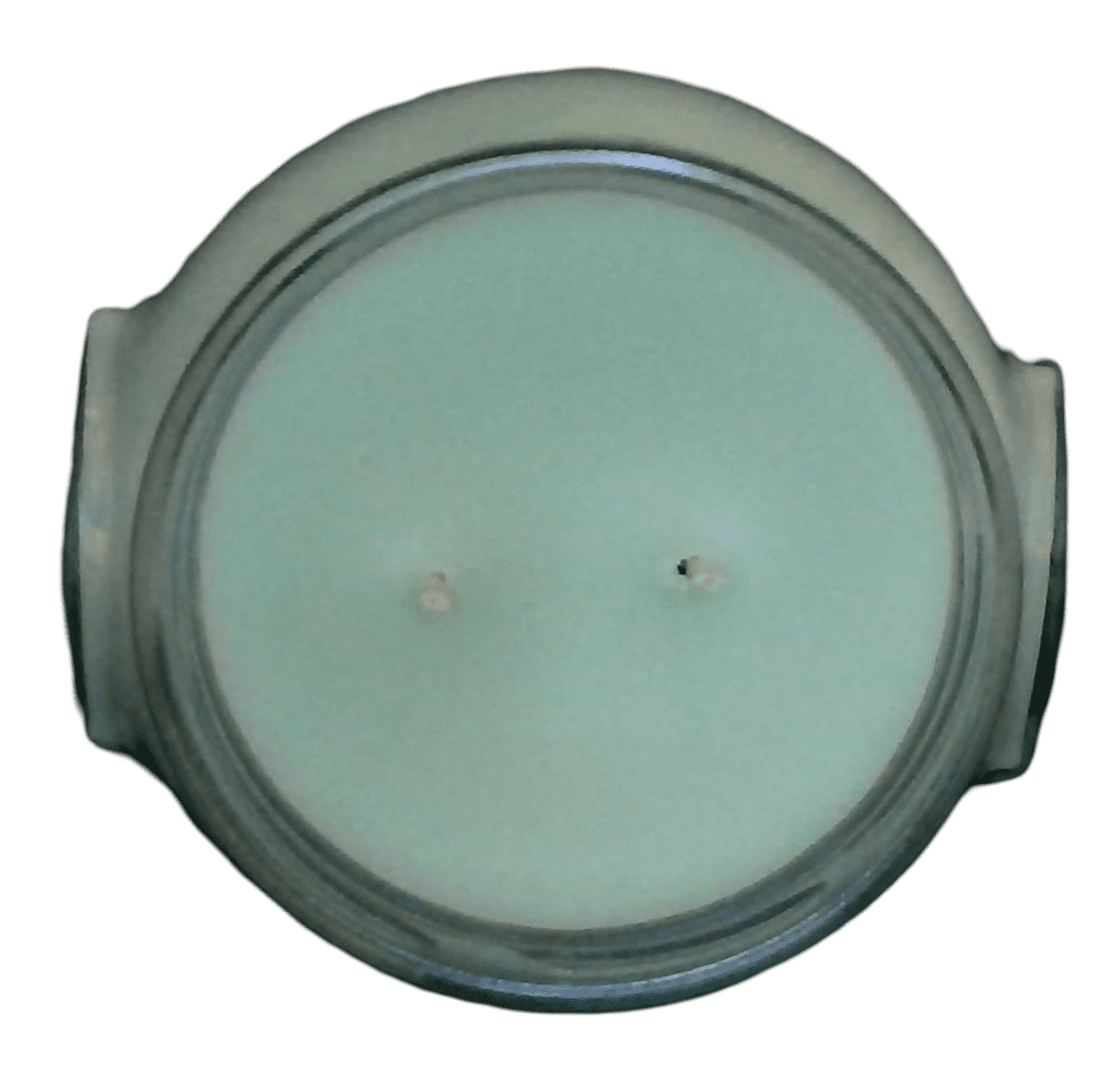 Tyler Candle Company - Pearberry - 22oz jar candle - with Tyler matches