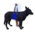thumbnail image 1 of Canine Dog Sling Carrier Support Back Legs Hip Knee Hock Joint Harness to Help Lift Dogs Rear Aid (Blue), 1 of 6