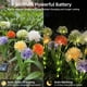thumbnail image 2 of Luces decorativas con flores solares para exteriores, luces para jardín, patio y césped, cebolla, 2 of 8