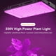 thumbnail image 1 of Indoor Plant Growing Lamp Full Spectrum LED Grow Light for Succulents Mini Bonsai, 1 of 5
