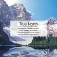 thumbnail image 4 of Little Trees Auto Air Freshener, Hanging Card, True North Fragrance, 6-Pack, 4 of 9