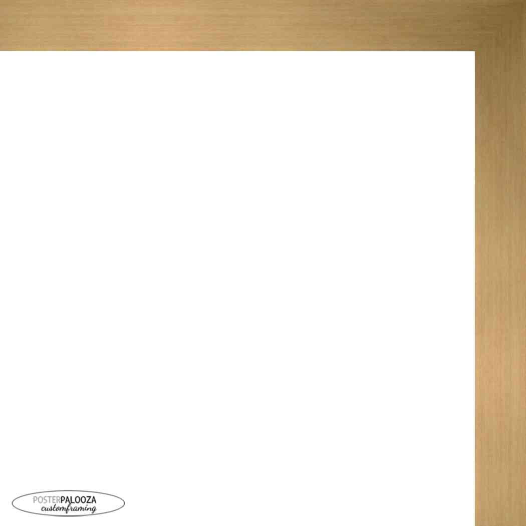 4x10 Gold Bronze Wood Picture Frame - UV Acrylic, Foam Board Backing, Hanging Hardware