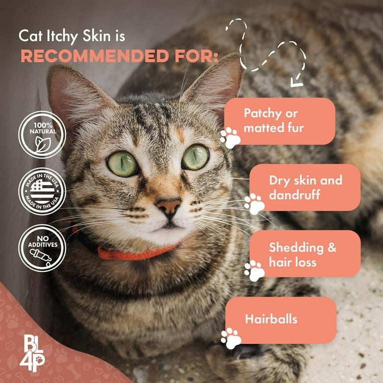 BestLife4Pets Cat Itchy Skin Relief Hair Loss Treatment Anti Itch Supplement Natural Pills Walmart