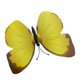 thumbnail image 2 of Juego de 12 pegatinas de pared con diseño artístico de mariposas de simulación 3D para decoración del hogar (amarillas), 2 of 4