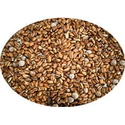Eritrean Ethiopian Kollo Kolo Roasted Barley 2 pounds