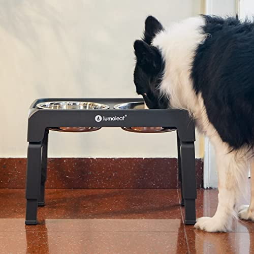 LumoLeaf Elevated Dog Bowls, 4 Height Adjustable Stand, Raised Dog Food and  Water Bowls Stainless Steel, Non Slip Tall Feeding Station Adjusts to