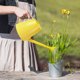 thumbnail image 3 of Regadera de Plástico con Pico Largo y Tubo Reforzado | Capacidad 1.2 L | Plástico Duradero | Mango Ergonómico | Regadera para Plantas en Interior, Exterior, Oficina, Balcón y Jardín | Flujo de Agua, 3 of 5