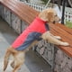 thumbnail image 4 of Abrigo de invierno impermeable para perros, chaqueta cálida para cachorros, chaleco, ropa para mascotas, ropa para perros, 4 of 7