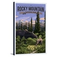 thumbnail image 1 of Rocky Mountain National Park, Colorado - Moose & Baby Calf - Lantern Press Artwork (16x24 Gallery Wrapped Stretched Canvas), 1 of 1