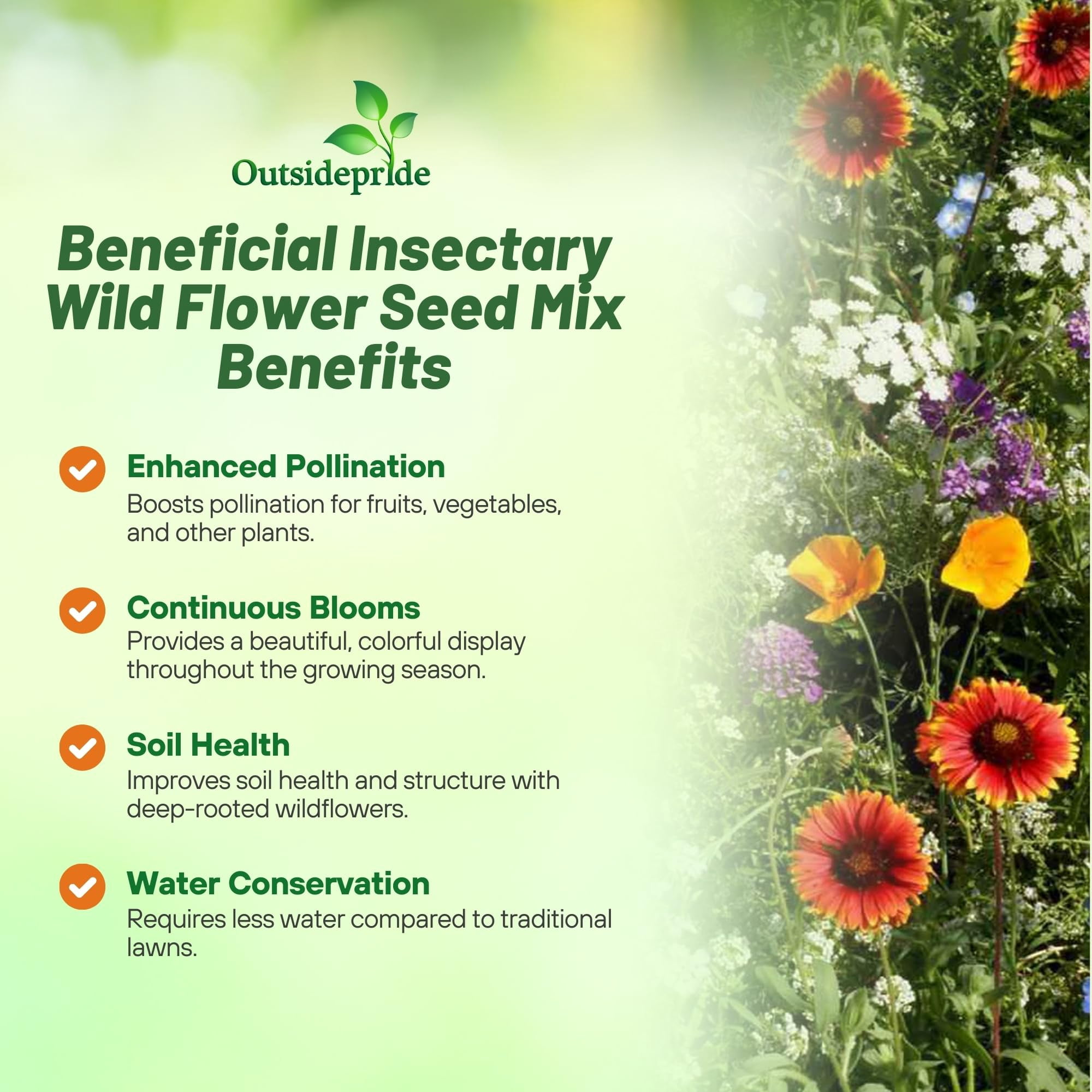 Outsidepride 1 lb. Insectary Wild Flower Seed Mix Attracting Beneficial Insects