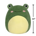 thumbnail image 2 of Squishmallows Original 14 inch Gloria the Dark Green Frog - Child's Ultra Soft Stuffed Plush Toy, 2 of 7