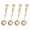 Gold, variant on Old Metal Mixture Coffee And Dessert Spoon Set Of 4 For Baking Cake Decorating Cookware