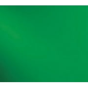 OCEANSIDE STAINED/FUSING GLASS SHEETS - MEDIUM GREEN CATHEDRAL FUSIBLE (Small 6" x 12")
