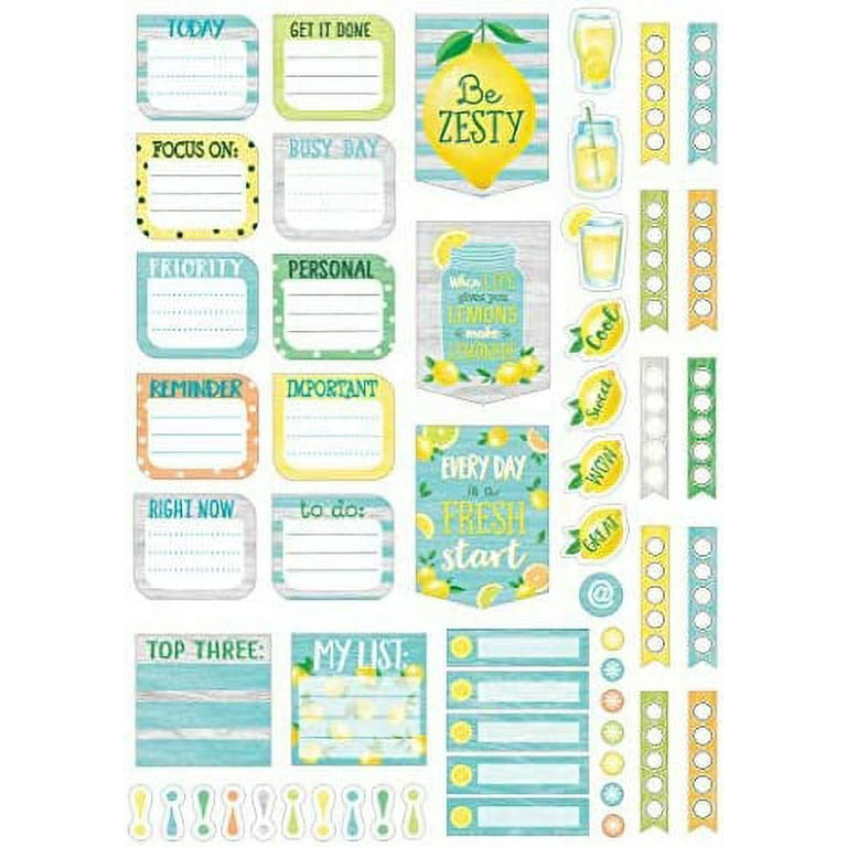 Teacher Created Resources Confetti Lesson Planner - Academic - 40 Week - Wire Bound - Multi - 11