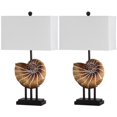 thumbnail image 1 of Safavieh Nautilus Shell Table Lamp in Brown, 1 of 3