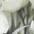 thumbnail image 3 of Angelique Tulips II White by Igor Levashov Wrapped Canvas Painting Art Print, 3 of 4