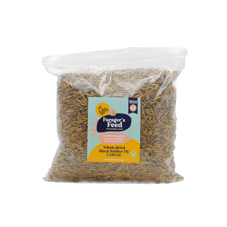 UPC: 0850039656002 | Whole Dried Black Soldier Fly Larvae Bag (BSFL) 1 Lb