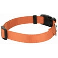 thumbnail image 4 of Country Brook Petz® Coral Everyday Nylon Dog Collar and Leash, Large, 4 of 6