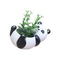 thumbnail image 2 of Cheers Mini Cute Panda Desktop Succulent Plants Flower Pot Home Garden Landscape Decor, 2 of 2